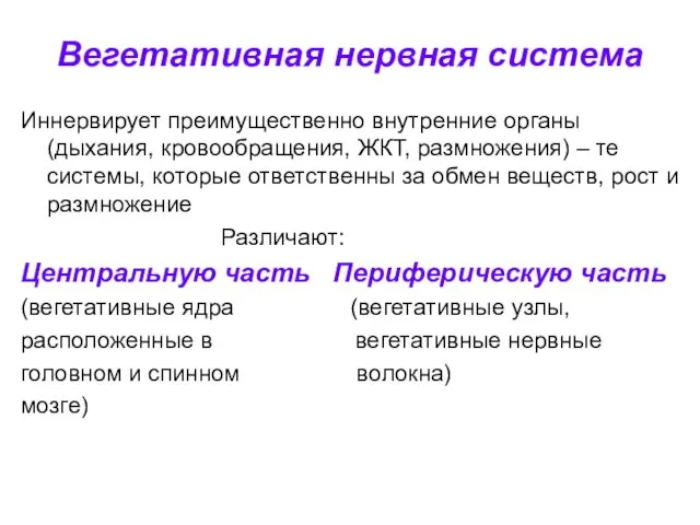 Вегетативная нервная система Иннервирует преимущественно внутренние органы (дыхания, кровообращения, ЖКТ,