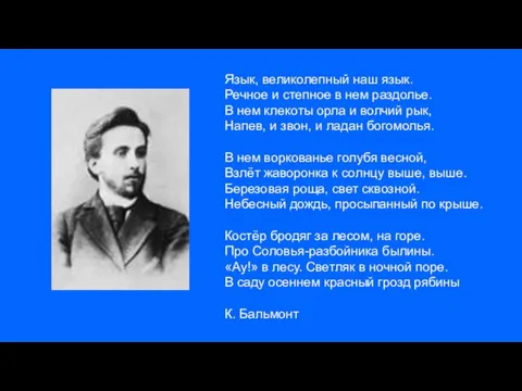 Язык, великолепный наш язык. Речное и степное в нем раздолье.