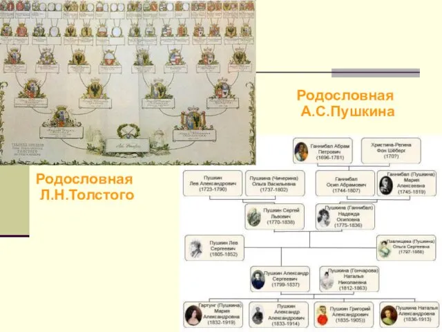 Родословная Л.Н.Толстого Родословная А.С.Пушкина