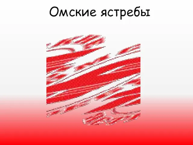 Омские ястребы