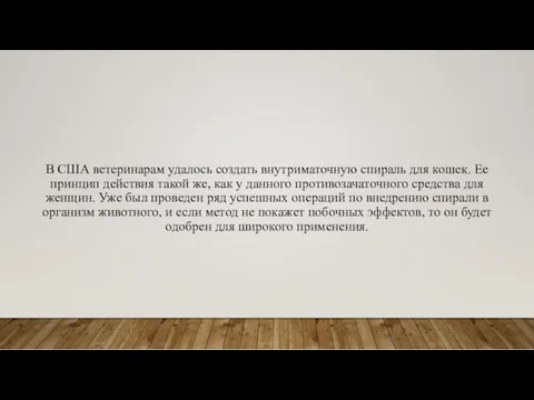 В США ветеринарам удалось создать внутриматочную спираль для кошек. Ее