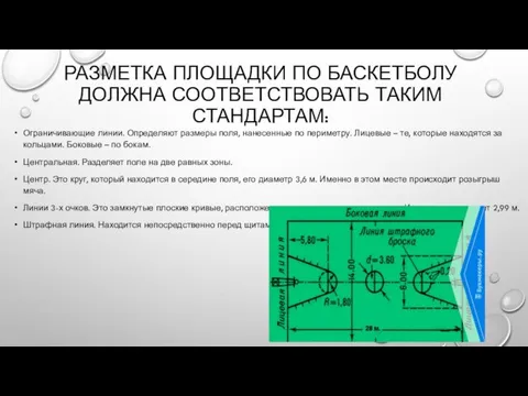 РАЗМЕТКА ПЛОЩАДКИ ПО БАСКЕТБОЛУ ДОЛЖНА СООТВЕТСТВОВАТЬ ТАКИМ СТАНДАРТАМ: Ограничивающие линии.