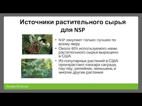 Источники растительного сырья для NSP NSP закупает только лучшее по