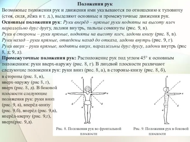 Положения рук Возможные положения рук и движения ими указываются по