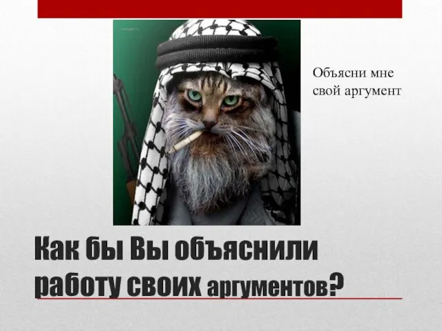 Как бы Вы объяснили работу своих аргументов? Объясни мне свой аргумент