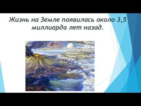 Жизнь на Земле появилась около 3,5 миллиарда лет назад.