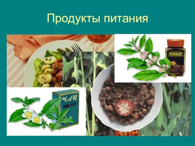 Продукты питания