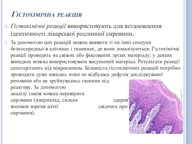 Гістохімічна реакція Гістохімічні реакції використовують для встановлення ідентичності лікарської рослинної