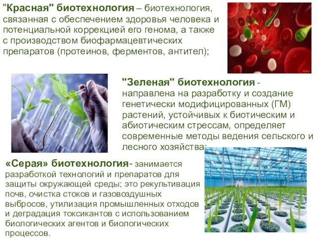 "Красная" биотехнология – биотехнология, связанная с обеспечением здоровья человека и