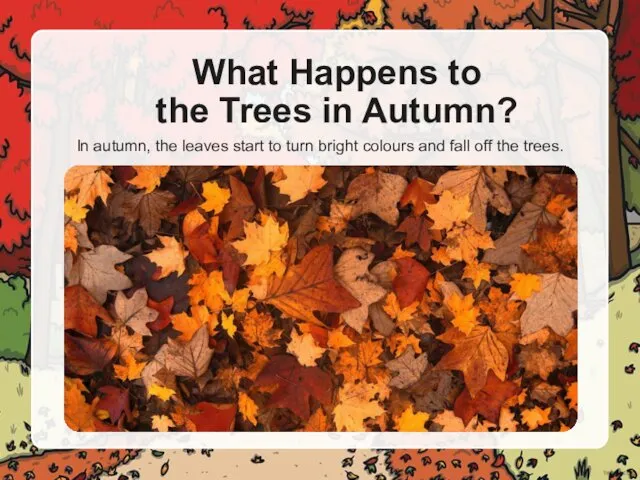What Happens to the Trees in Autumn? In autumn, the leaves start to