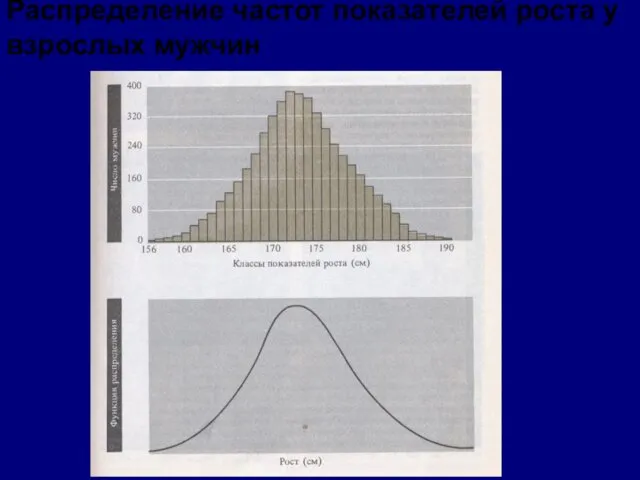 Распределение частот показателей роста у взрослых мужчин