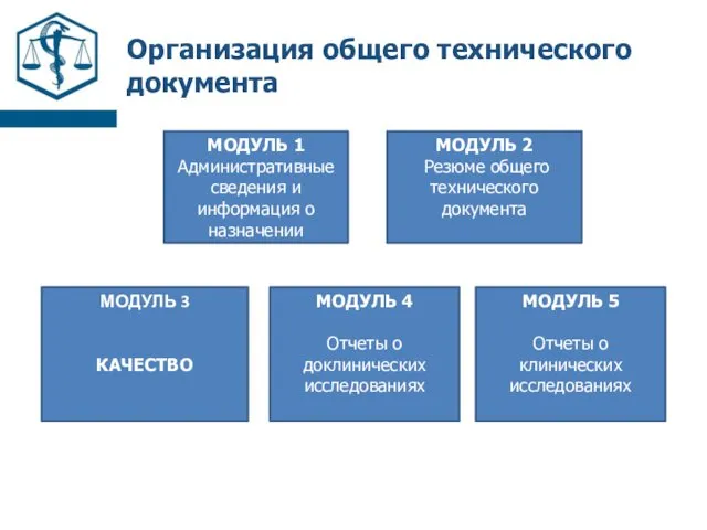 Организация общего технического документа МОДУЛЬ 1 Административные сведения и информация