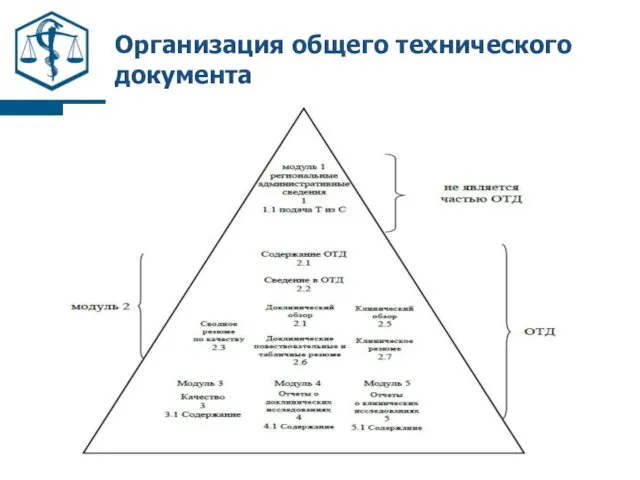 Организация общего технического документа