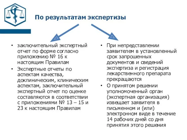 По результатам экспертизы заключительный экспертный отчет по форме согласно приложению