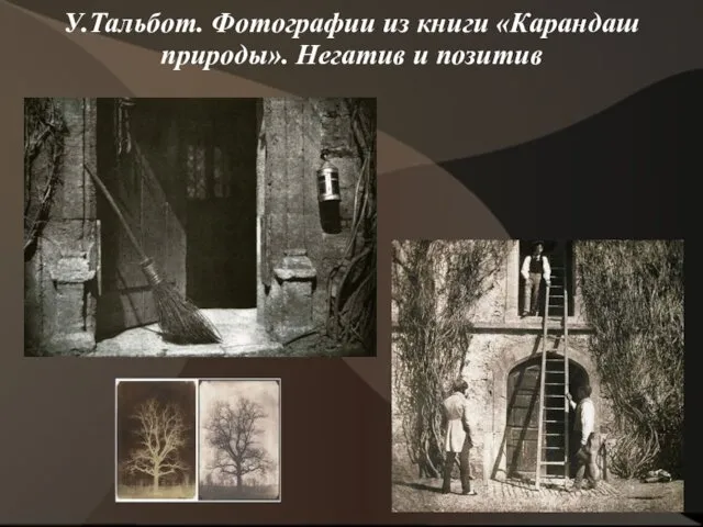 У.Тальбот. Фотографии из книги «Карандаш природы». Негатив и позитив