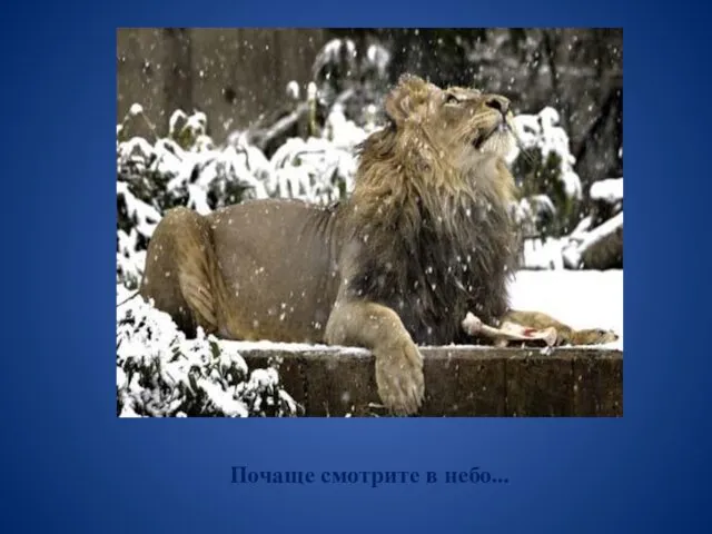 Почаще смотрите в небо...