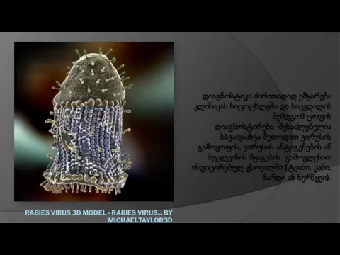 RABIES VIRUS 3D MODEL - RABIES VIRUS... BY MICHAELTAYLOR3D დიაგნოსტიკა