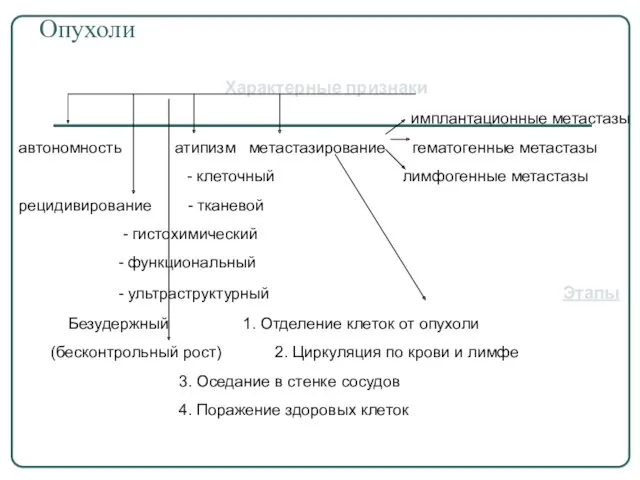 Опухоли Характерные признаки имплантационные метастазы автономность атипизм метастазирование гематогенные метастазы