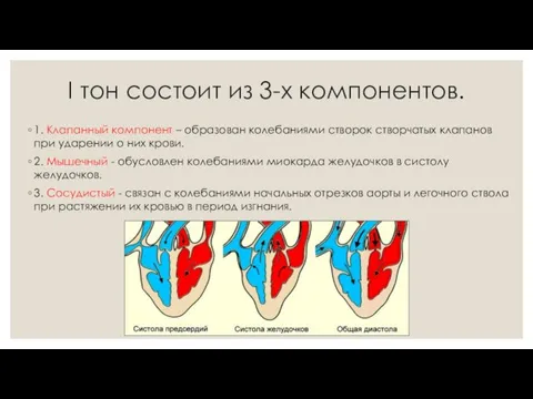 I тон состоит из 3-х компонентов. 1. Клапанный компонент –