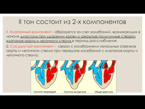 II тон состоит из 2-х компонентов 1. Клапанный компонент -