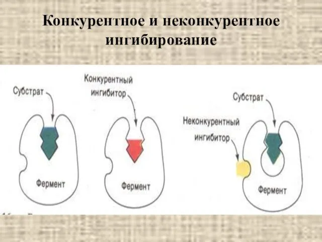 Конкурентное и неконкурентное ингибирование