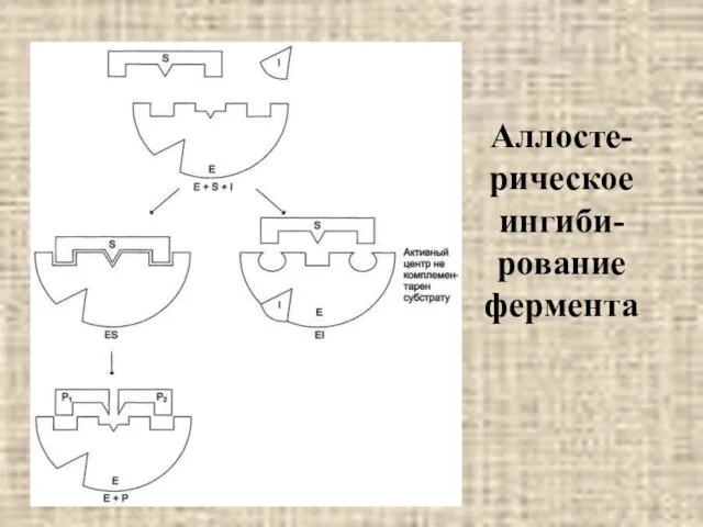 Аллосте-рическое ингиби-рование фермента