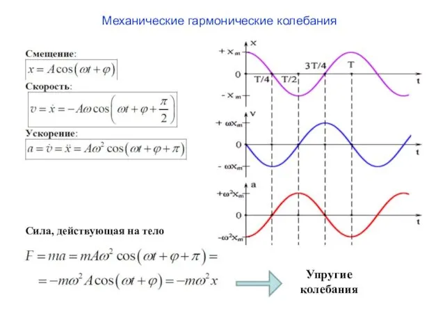 Механические гармонические колебания Сила, действующая на тело Упругие колебания