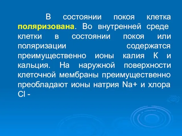 В состоянии покоя клетка поляризована. Во внутренней среде клетки в