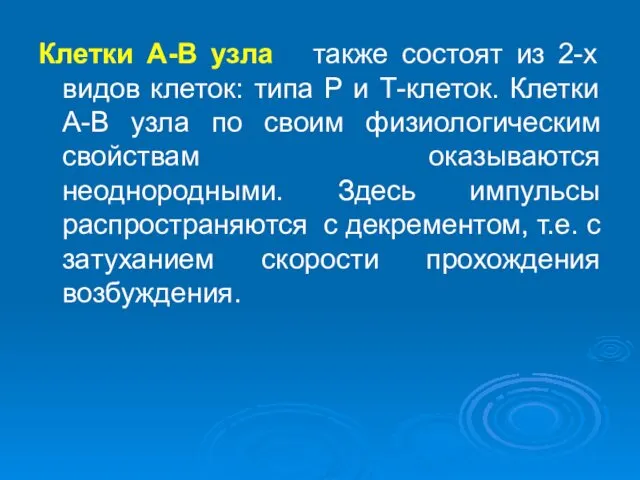 Клетки А-В узла также состоят из 2-х видов клеток: типа