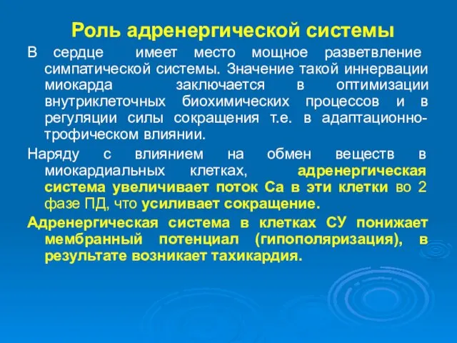 Роль адренергической системы В сердце имеет место мощное разветвление симпатической