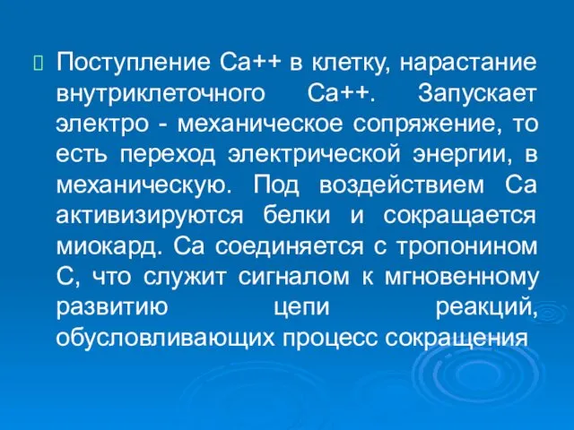 Поступление Са++ в клетку, нарастание внутриклеточного Са++. Запускает электро -