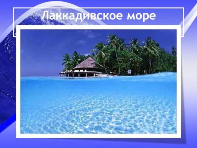 Лаккадивское море