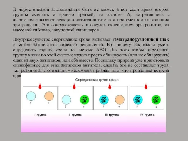 В норме никакой агглютинации быть не может, а вот если