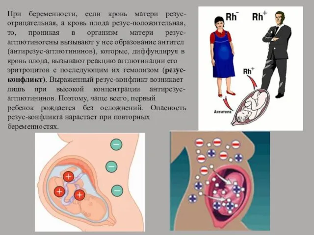 При беременности, если кровь матери резус-отрицательная, а кровь плода резус-положительная,