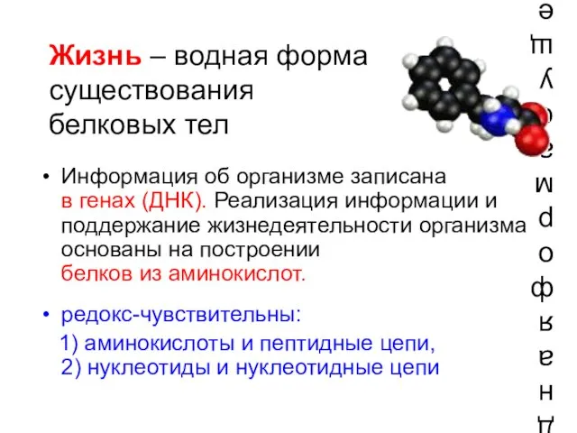 Жизнь – водная форма существования белковых тел Информация об организме