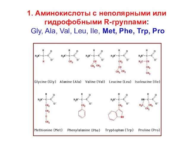 1. Аминокислоты с неполярными или гидрофобными R-группами: Gly, Ala, Val, Leu, Ile, Met, Phe, Trp, Pro