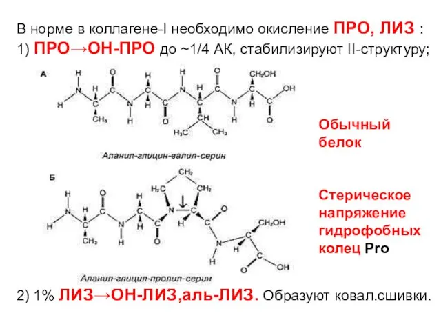 В норме в коллагене-I необходимо окисление ПРО, ЛИЗ : 1)