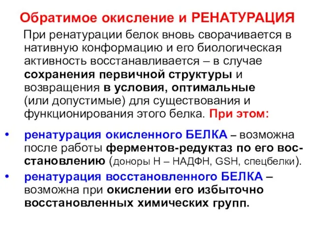 Обратимое окисление и РЕНАТУРАЦИЯ При ренатурации белок вновь сворачивается в