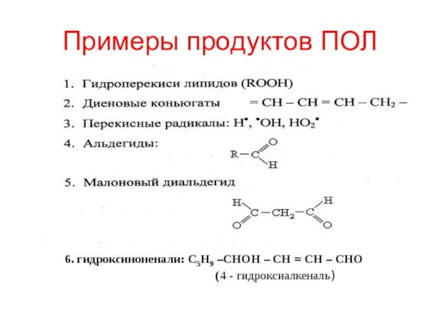 Примеры продуктов ПОЛ