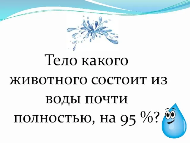 Тело какого животного состоит из воды почти полностью, на 95 %?