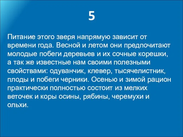 5 Питание этого зверя напрямую зависит от времени года. Весной