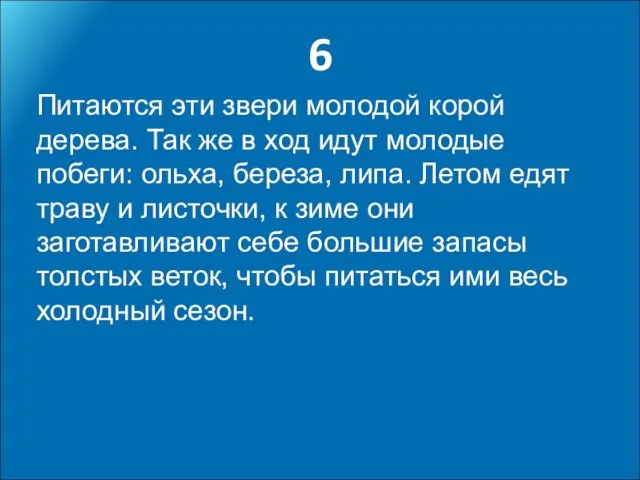 6 Питаются эти звери молодой корой дерева. Так же в