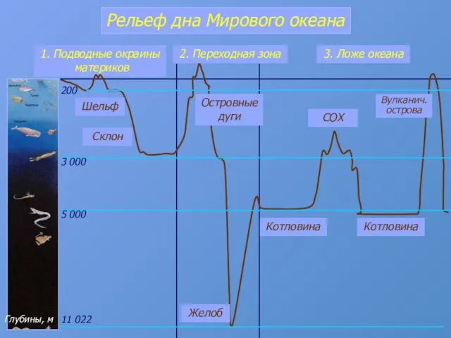 2. Переходная зона Котловина 1. Подводные окраины материков Рельеф дна