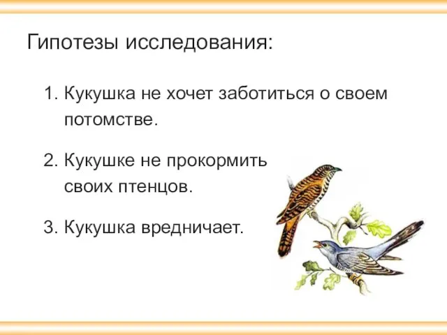 Гипотезы исследования: 1. Кукушка не хочет заботиться о своем потомстве.