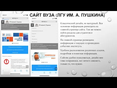 САЙТ ВУЗА (ЛГУ ИМ. А. ПУШКИНА) Классический дизайн, не вычурный.