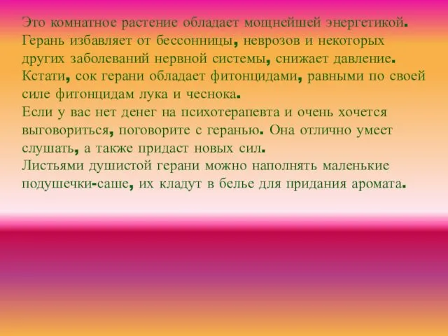 Это комнатное растение обладает мощнейшей энергетикой. Герань избавляет от бессонницы,