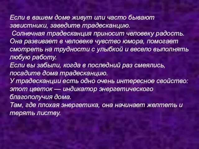 Если в вашем доме живут или часто бывают завистники, заведите