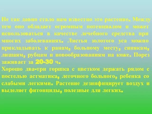 Не так давно стало нам известно это растение. Между тем