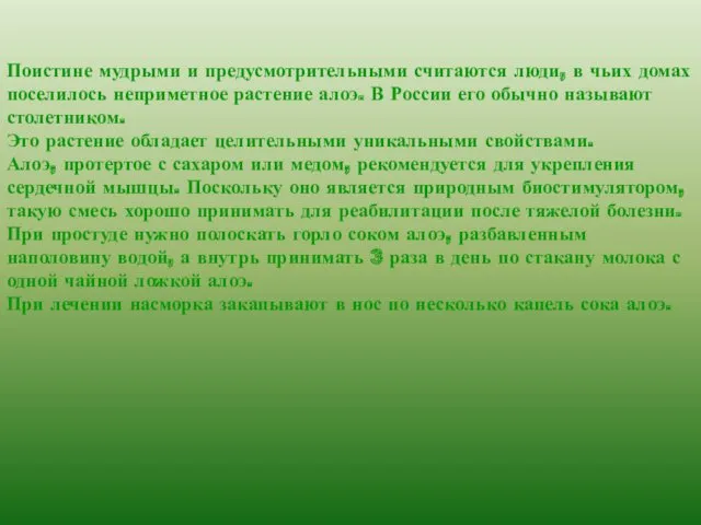 Поистине мудрыми и предусмотрительными считаются люди, в чьих домах поселилось