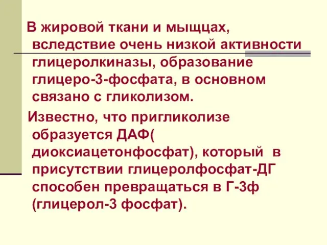 В жировой ткани и мыщцах, вследствие очень низкой активности глицеролкиназы,